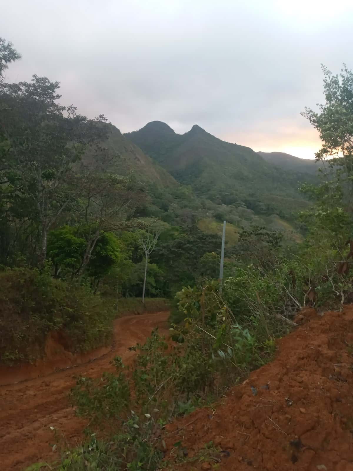 El camino de tierra roja subiendo entre la vegetación hacia dos picos gemelos, con el cielo todavía gris