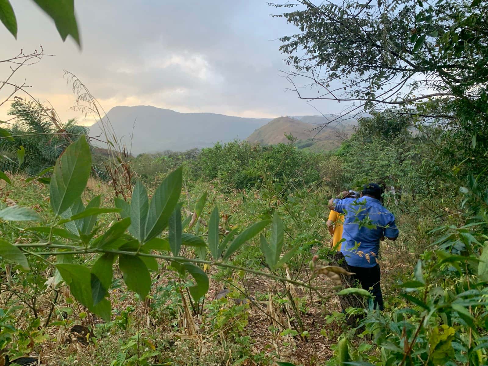 Una persona alejándose entre el monte con la botella en la mano, al atardecer, con la cordillera al fondo