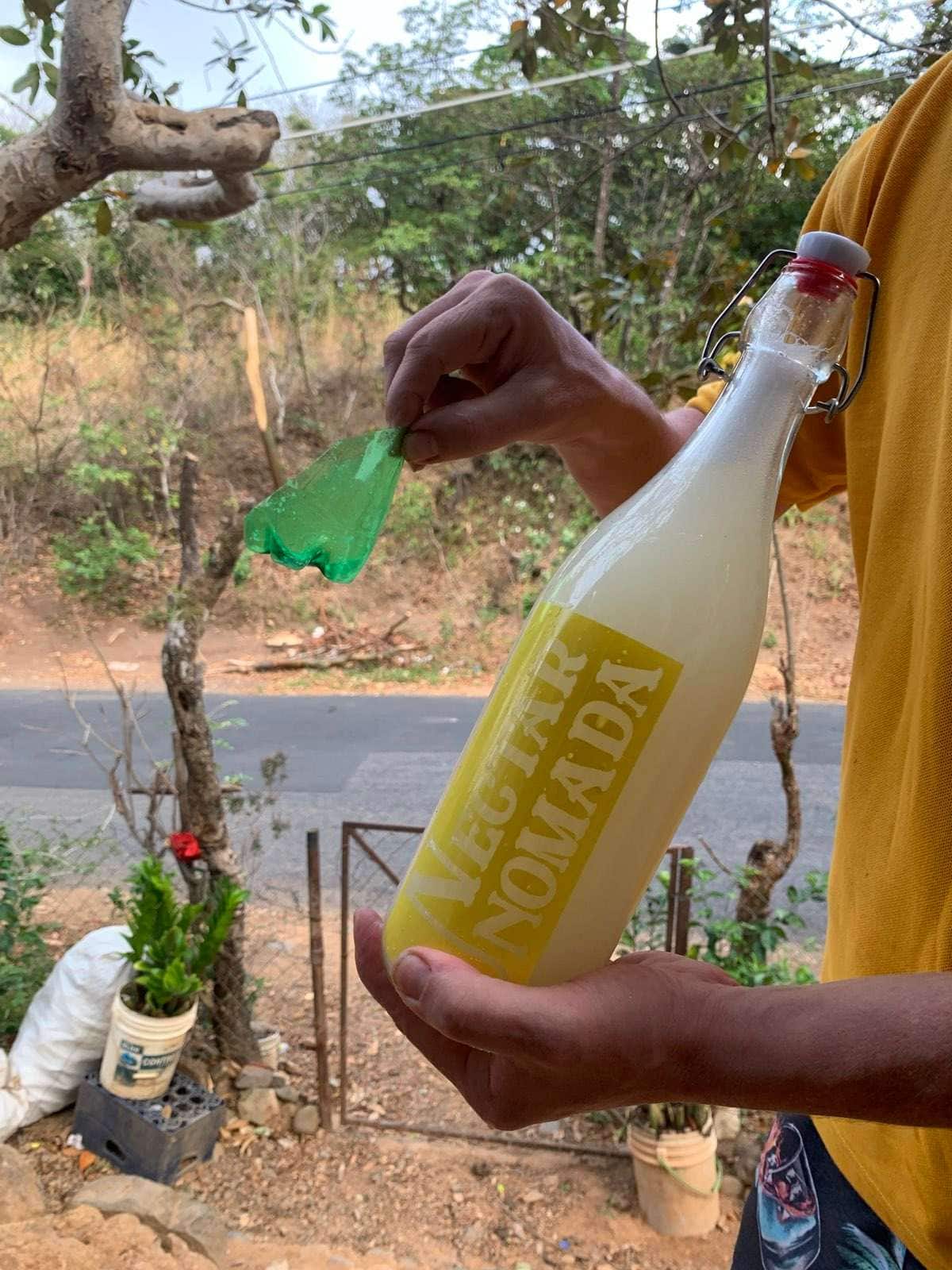 Una mano sosteniendo una botella de tapón mecánico con etiqueta amarilla de Néctar Nómada, llena de un líquido pálido y turbio; al lado, una bolsa de plástico con el mismo líquido
