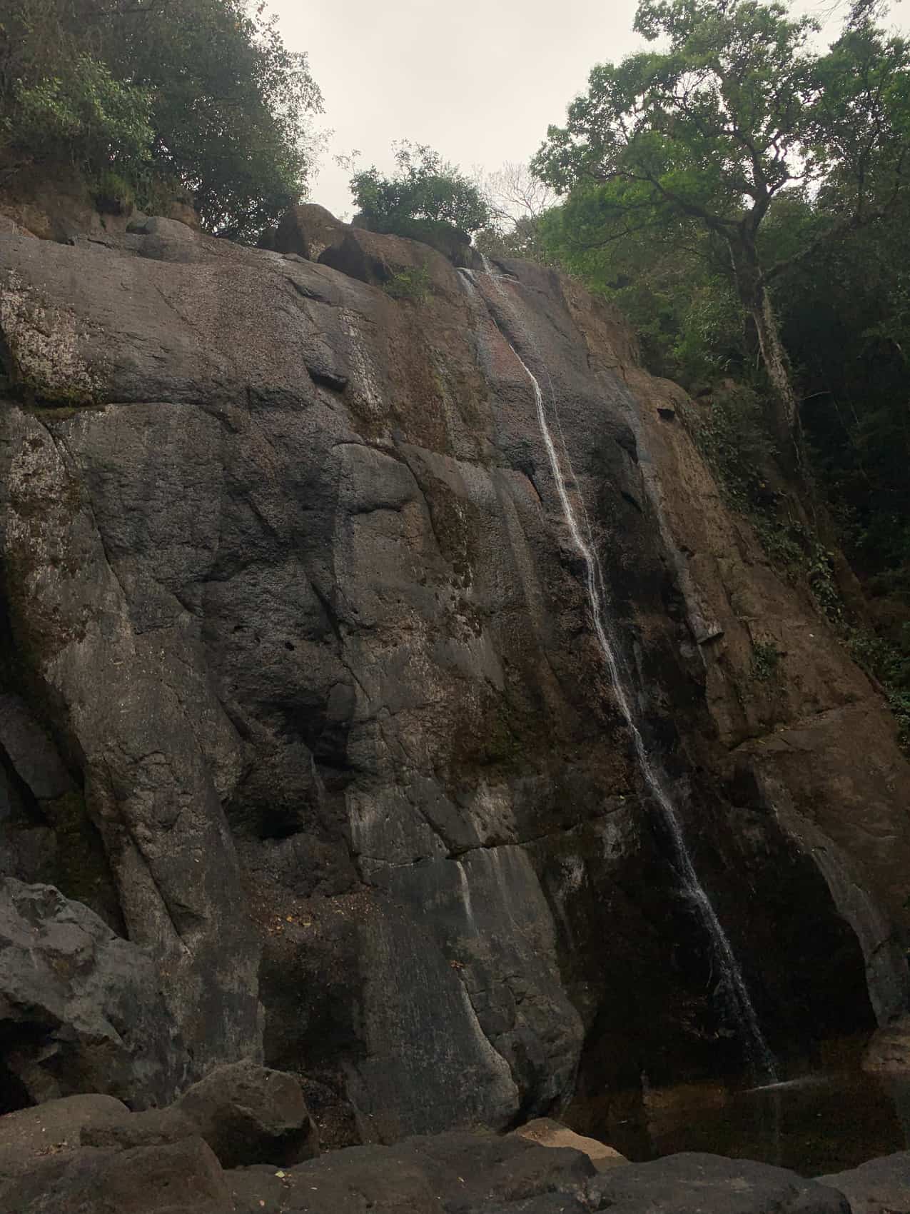 Un chorro de agua cayendo por una pared de roca alta y oscura, con el bosque alrededor