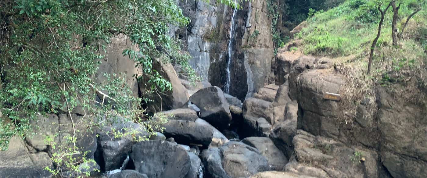 Una pared de roca en bloques con hilos de agua cayendo entre las piedras y helechos en las grietas