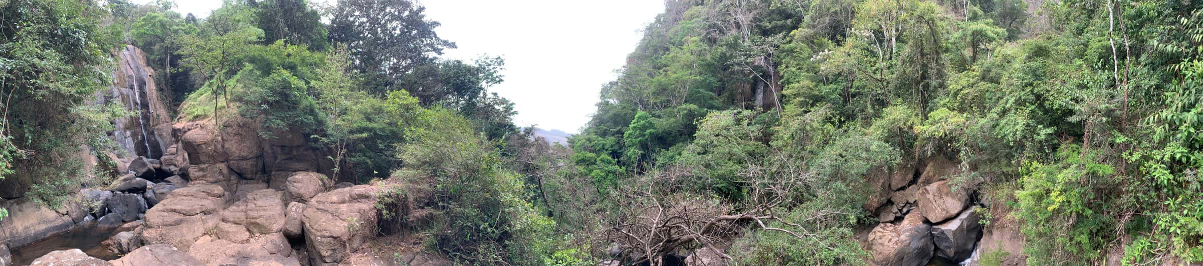 Panorámica de un valle boscoso entre laderas, con ramas secas en primer plano