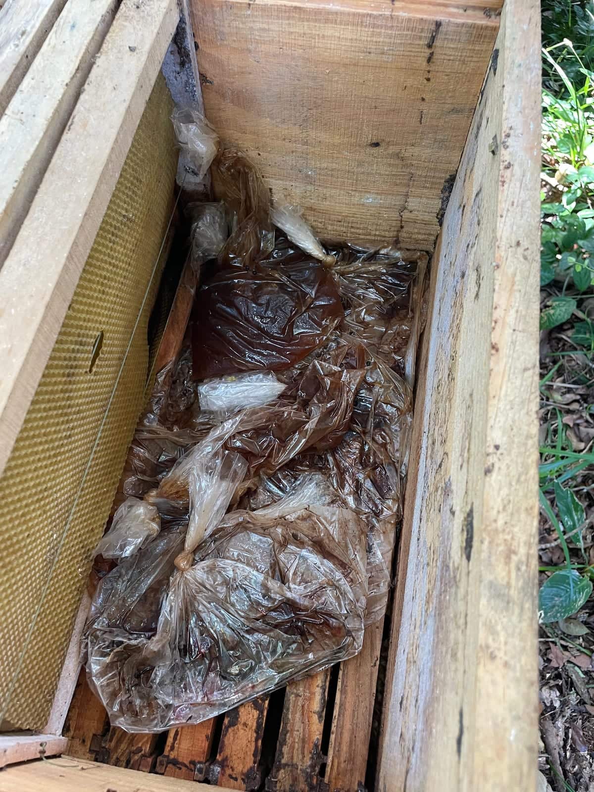 El interior de una caja de colmena abierta, vista desde arriba: un montón de bolsas de plástico vacías con restos de jarabe oscuro, el plástico chupado y colapsado, y a la izquierda una lámina de cera estampada nueva, amarilla, con el relieve hexagonal intacto y sin una sola celda estirada