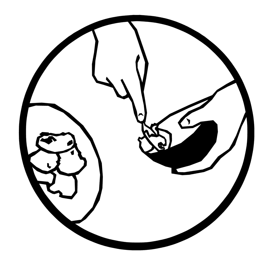 Dibujo en blanco y negro: unos dedos sacan el interior de una de las mitades; al lado, lo que se ha ido sacando