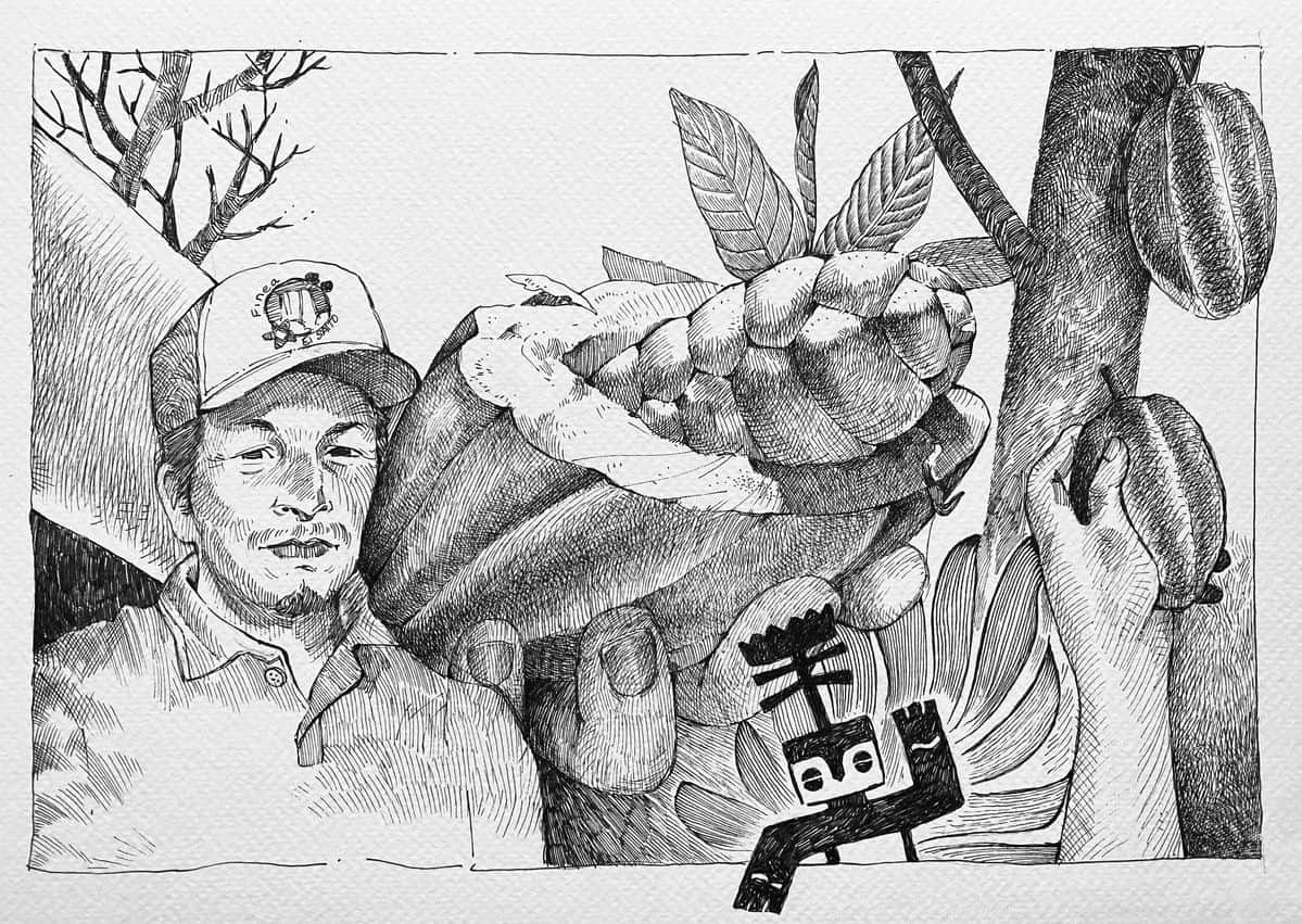 Dibujo a plumilla: un hombre con gorra junto a una mano que abre una mazorca de cacao con las semillas a la vista; detrás, el cacaotero con sus mazorcas