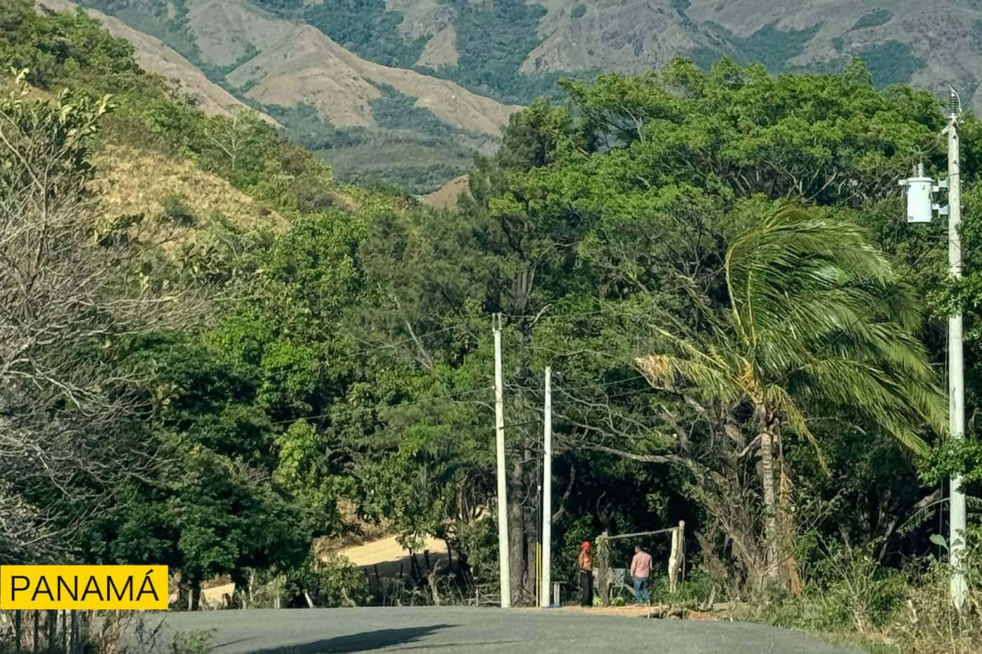 Una carretera entre montañas verdes, con palmeras y postes de luz a un lado