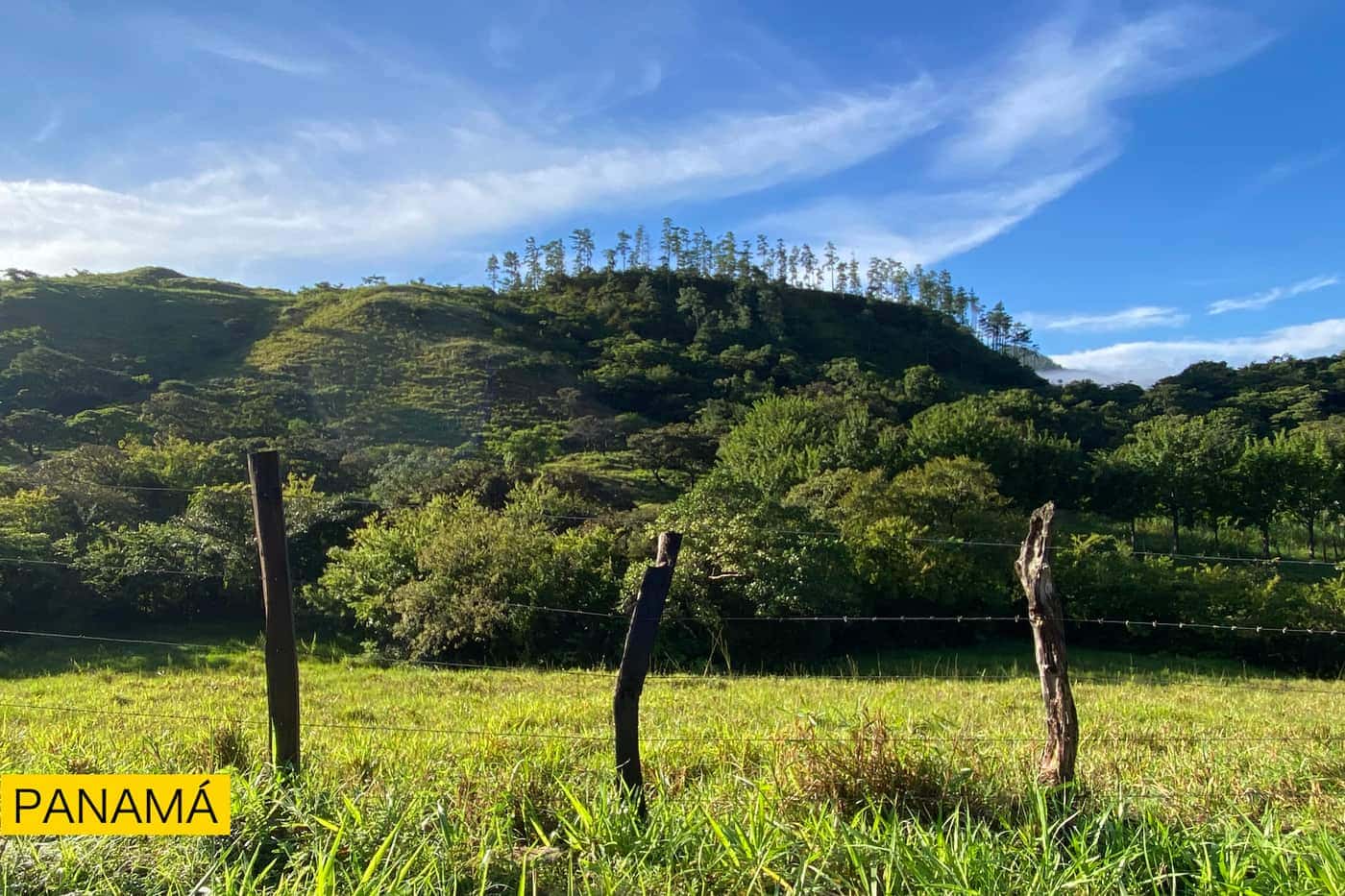 Un potrero verde con postes de alambre, cerros arbolados detrás y cielo azul
